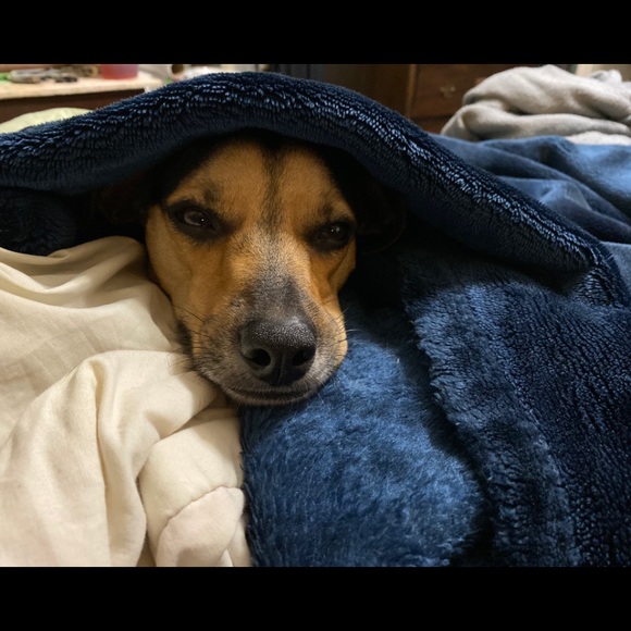 Meet your Posher, Lisa - Picture 9 of 11